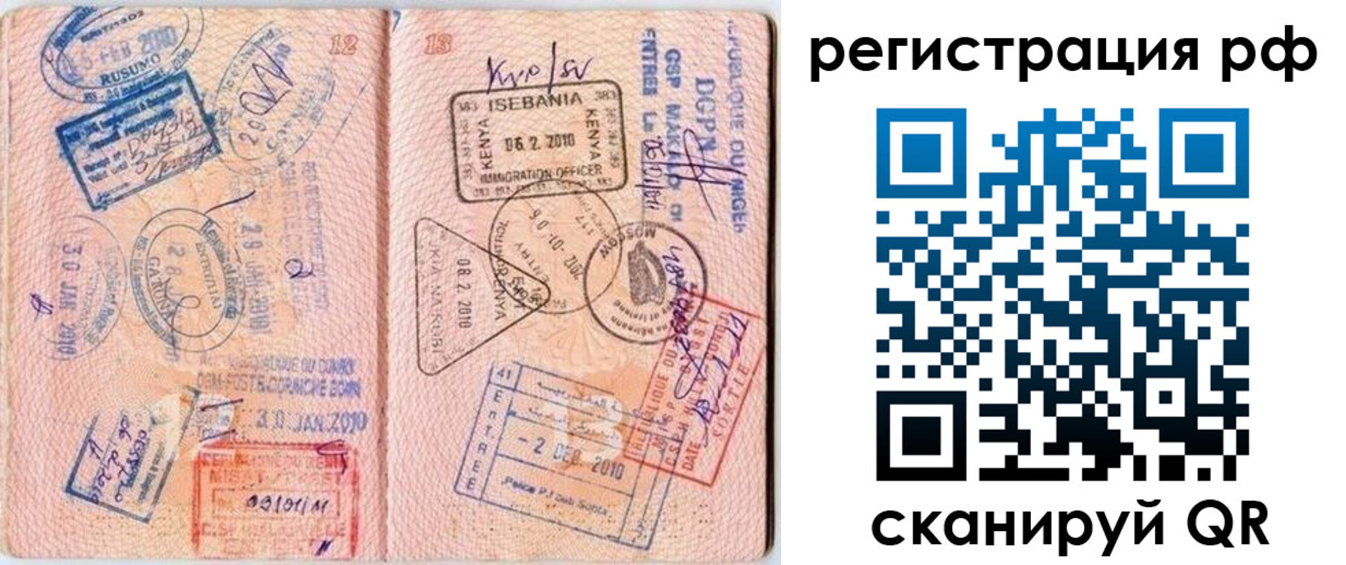прописка для школы в Кольчугино